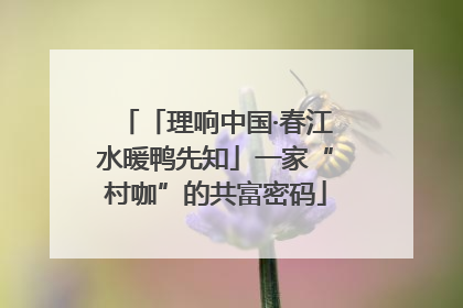 「理响中国·春江水暖鸭先知」一家“村咖”的共富密码