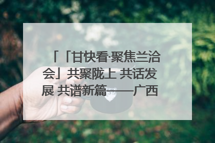 「甘快看·聚焦兰洽会」共聚陇上 共话发展 共谱新篇——广西贵州重点企业“请进来”招商推介会扫描