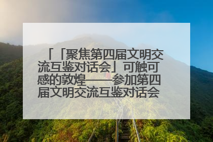 「聚焦第四届文明交流互鉴对话会」可触可感的敦煌——参加第四届文明交流互鉴对话会的外宾参观上元市集