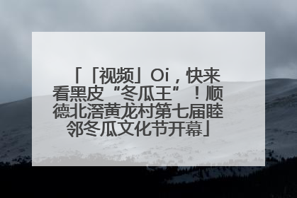 「视频」Oi，快来看黑皮“冬瓜王”！顺德北滘黄龙村第七届睦邻冬瓜文化节开幕