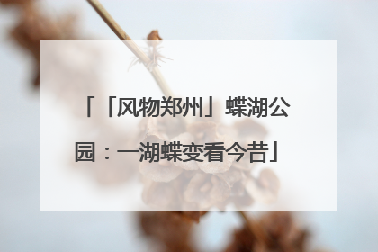 「风物郑州」蝶湖公园：一湖蝶变看今昔