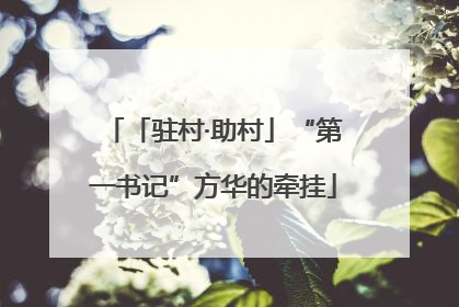 「驻村·助村」“第一书记”方华的牵挂