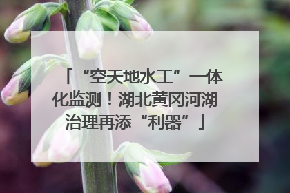 “空天地水工”一体化监测！湖北黄冈河湖治理再添“利器”