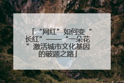 “网红”如何变“长红”——“一朵花”激活城市文化基因的破题之路