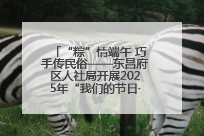 “粽”情端午 巧手传民俗——东昌府区人社局开展2025年“我们的节日·端午”包粽子活动
