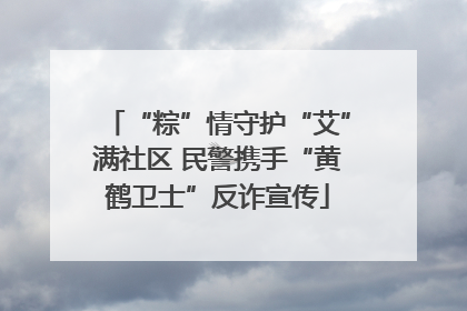 “粽”情守护“艾”满社区 民警携手“黄鹤卫士”反诈宣传