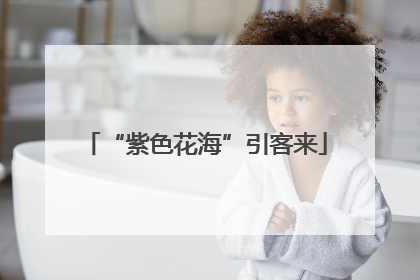 “紫色花海”引客来