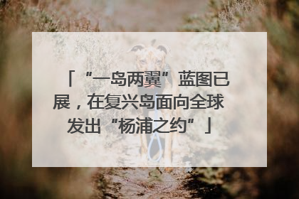 “一岛两翼”蓝图已展，在复兴岛面向全球发出“杨浦之约”