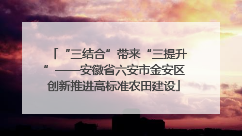 “三结合”带来“三提升”——安徽省六安市金安区创新推进高标准农田建设