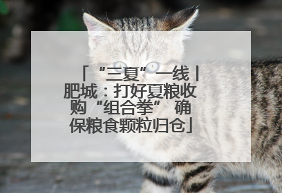“三夏”一线丨肥城：打好夏粮收购“组合拳” 确保粮食颗粒归仓