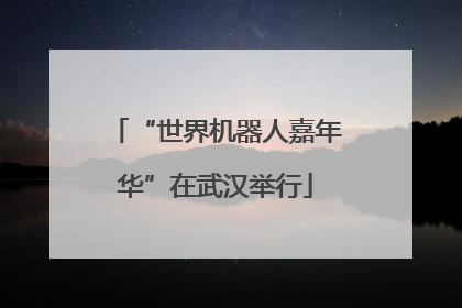 “世界机器人嘉年华”在武汉举行