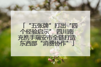 “五张牌”打出“四个经验启示” 四川南充携手瑞安市全链打造东西部“消费协作”