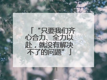 “只要我们齐心合力、全力以赴，就没有解决不了的问题”