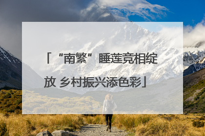 “南繁”睡莲竞相绽放 乡村振兴添色彩