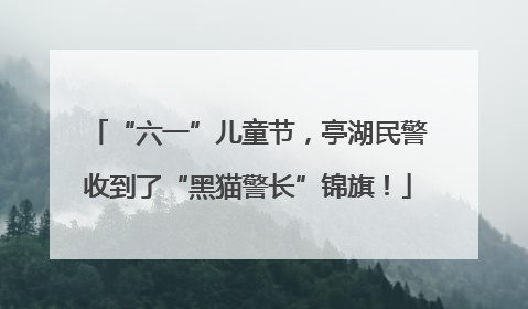 “六一”儿童节，亭湖民警收到了“黑猫警长”锦旗！