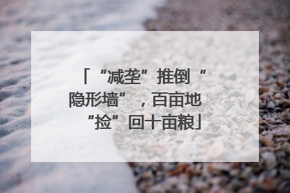 “减垄”推倒“隐形墙”，百亩地“捡”回十亩粮