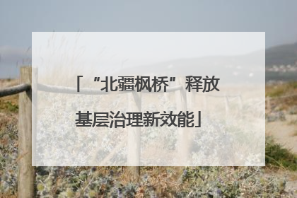 “北疆枫桥”释放基层治理新效能