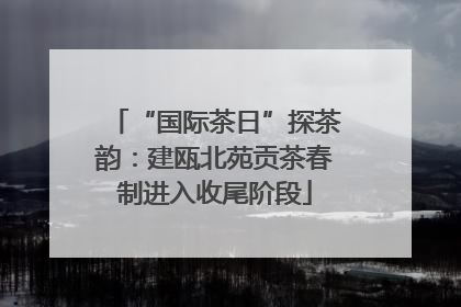 “国际茶日”探茶韵：建瓯北苑贡茶春制进入收尾阶段