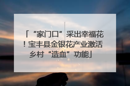 “家门口”采出幸福花！宝丰县金银花产业激活乡村“造血”功能