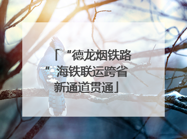 “德龙烟铁路”海铁联运跨省新通道贯通