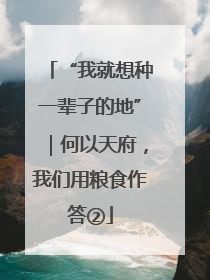 “我就想种一辈子的地”｜何以天府，我们用粮食作答②