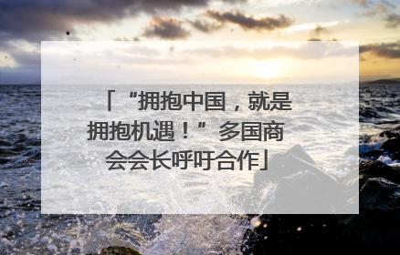 “拥抱中国，就是拥抱机遇！”多国商会会长呼吁合作