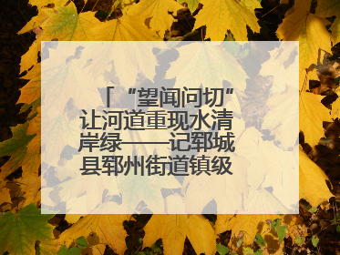 “望闻问切”让河道重现水清岸绿——记郓城县郓州街道镇级河长孟泓辰