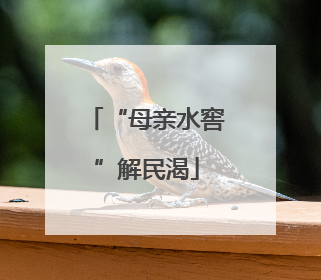 “母亲水窖”解民渴