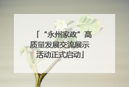 “永州家政”高质量发展交流展示活动正式启动