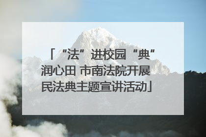 “法”进校园“典”润心田 市南法院开展民法典主题宣讲活动