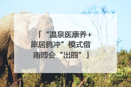 “温泉医康养+旅居腾冲”模式借南博会“出圈”