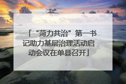 “菏力共治”第一书记助力基层治理活动启动会议在单县召开