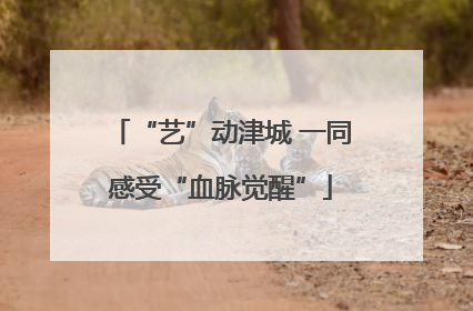 “艺”动津城 一同感受“血脉觉醒”
