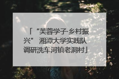 “芙蓉学子·乡村振兴” 湘潭大学实践队调研洗车河镇老洞村