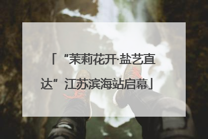 “茉莉花开·盐艺直达”江苏滨海站启幕