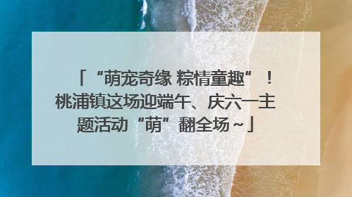 “萌宠奇缘 粽情童趣”！桃浦镇这场迎端午、庆六一主题活动“萌”翻全场～