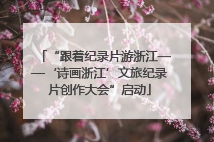 “跟着纪录片游浙江——‘诗画浙江’文旅纪录片创作大会”启动