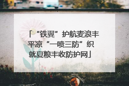 “铁翼”护航麦浪丰 平凉“一喷三防”织就夏粮丰收防护网