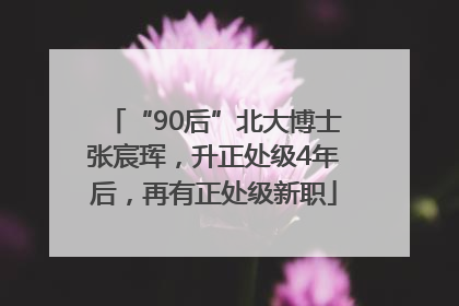 “90后”北大博士张宸珲，升正处级4年后，再有正处级新职