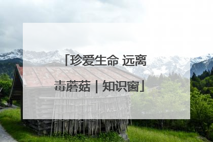 珍爱生命 远离毒蘑菇｜知识窗