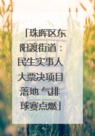 珠晖区东阳渡街道：民生实事人大票决项目落地 气排球赛点燃
