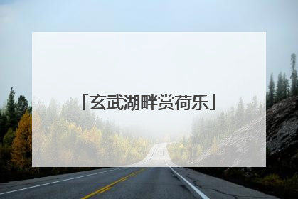 玄武湖畔赏荷乐