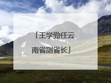 王学勤任云南省副省长