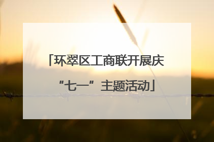 环翠区工商联开展庆“七一”主题活动