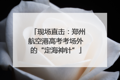 现场直击：郑州航空港高考考场外的“定海神针”