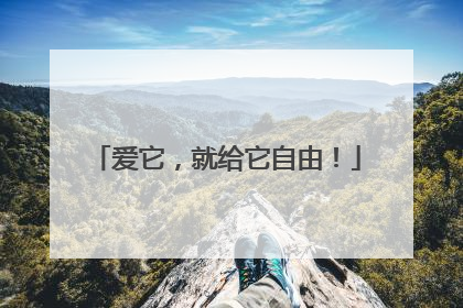 爱它，就给它自由！