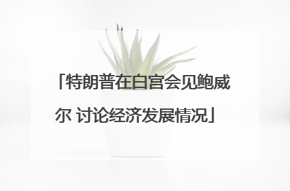 特朗普在白宫会见鲍威尔 讨论经济发展情况