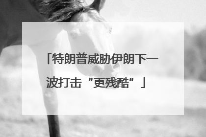特朗普威胁伊朗下一波打击“更残酷”
