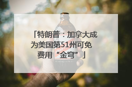 特朗普：加拿大成为美国第51州可免费用“金穹”