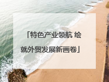 特色产业领航 绘就外贸发展新画卷